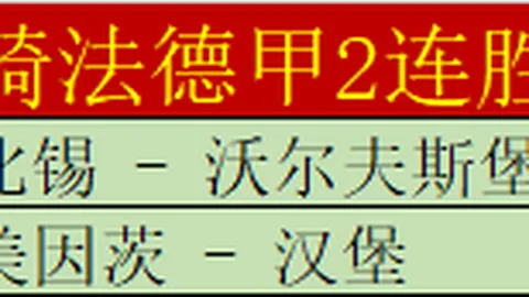 足球圈：森林渔翁撒网购人策略曝光，揭示神秘成功方程式及高额回报路径