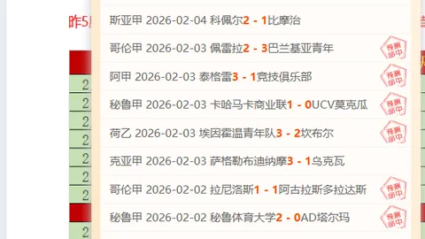 篮球盛事：伊万科维奇信念坚定，质疑之音未改其志